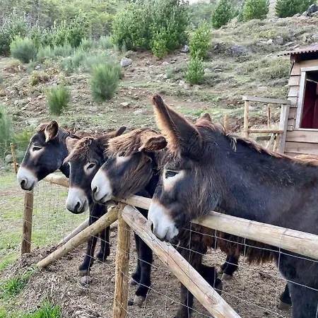 Lüks kamp alanı Mountain Eco Shelter 6 *