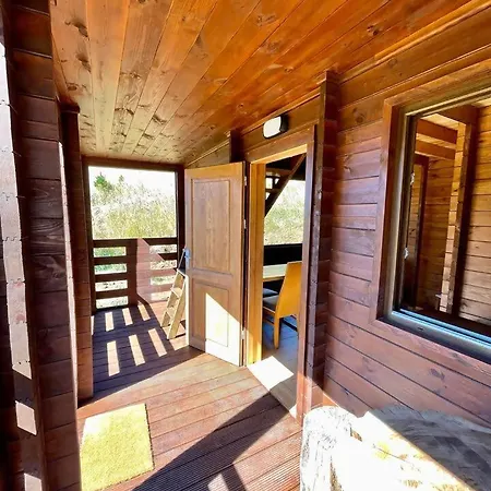 Mountain Eco Shelter 6