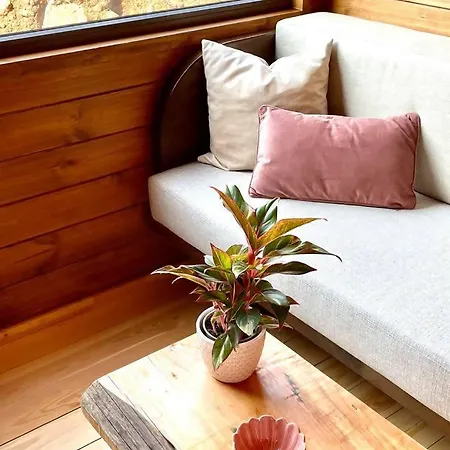 Mountain Eco Shelter 6