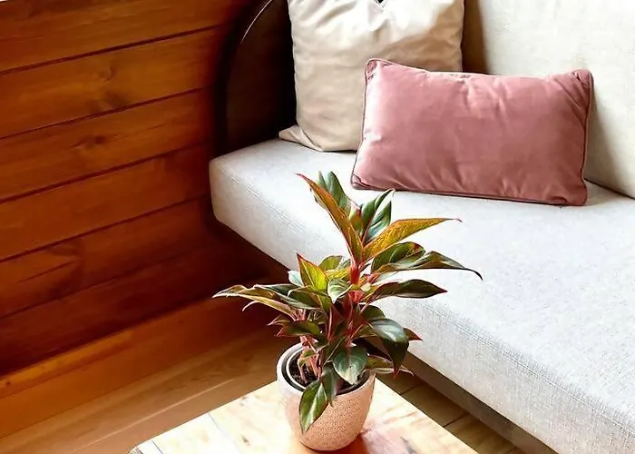 Mountain Eco Shelter 6